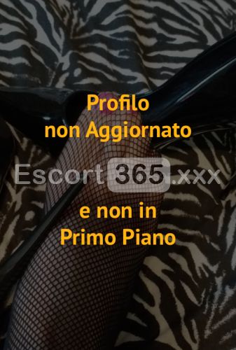 Adriana: Alta e Tonica - Escort a Riccione - Foto 1