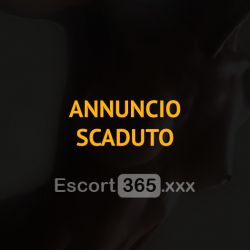 Camilla: Bellezza d'Élite Escort Novara: annunci, incontri e recensioni reali di Vip Escort, Escort, Pornostar, Trans, Massaggi, Mistress, Coppie e Orientali.