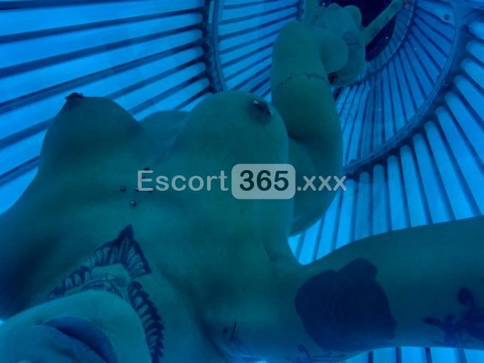Ingrid: Bellezza dell'Est - Escort a Venezia - Foto 4