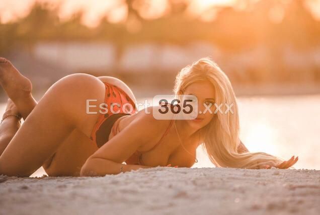 Francesca: Fascino Ineguagliabile - Escort a Bologna - Foto 1
