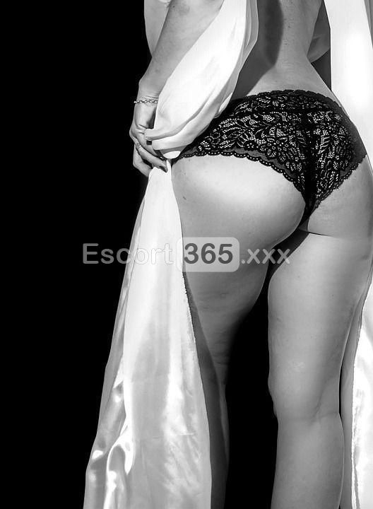 Romantica: Esperienza Unica - Escort a Bologna - Foto 1