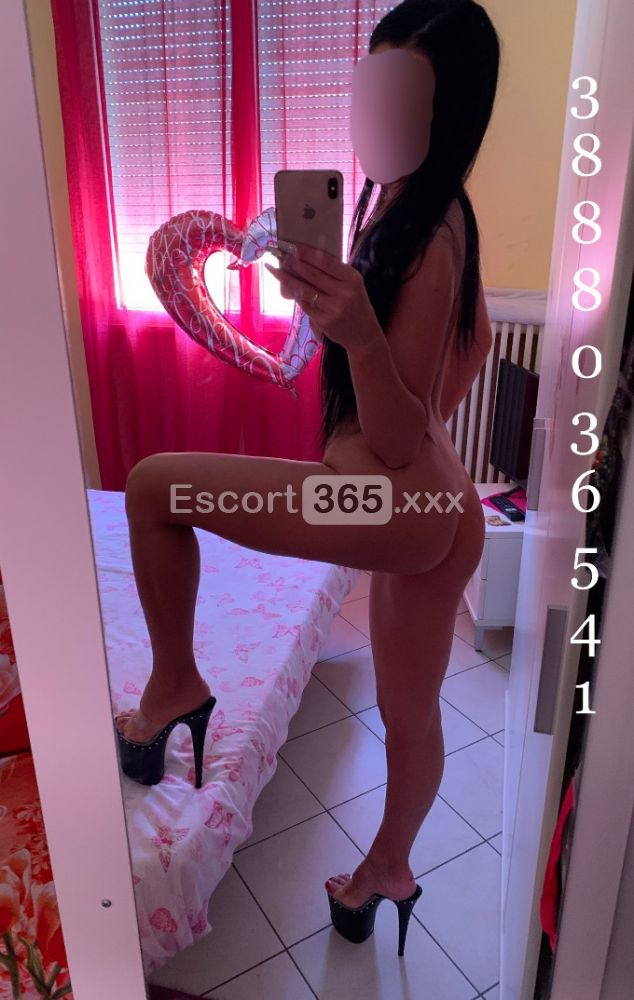 Dani: Esotica e Passionale - Escort a Rimini - Foto 2