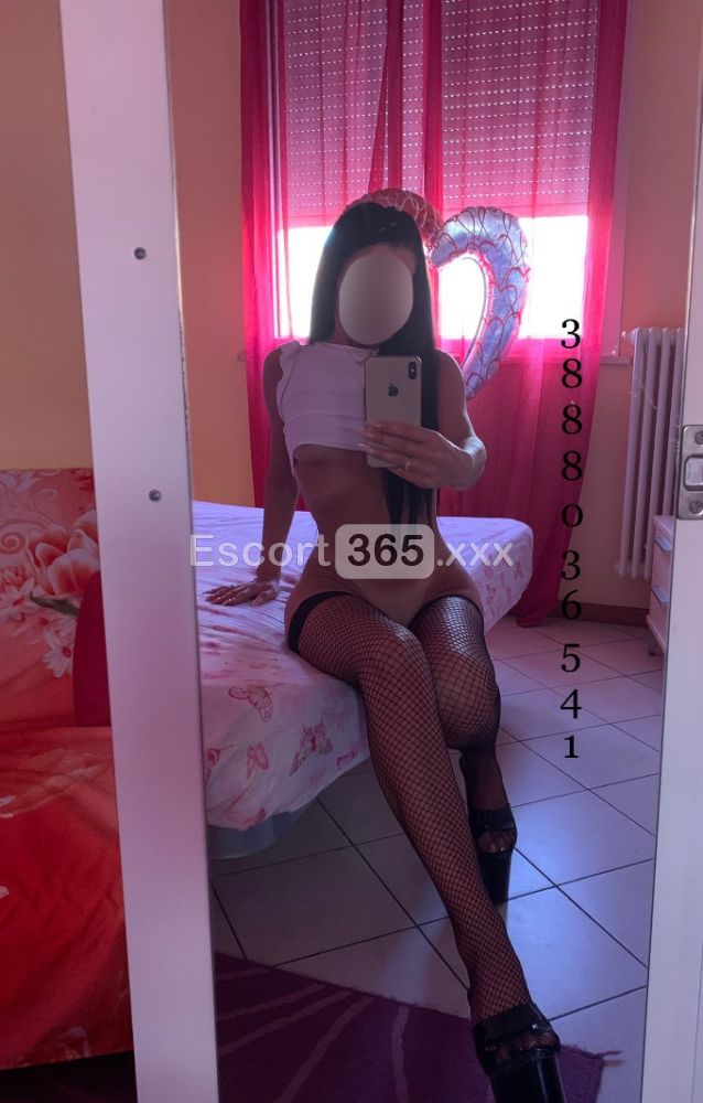 Dani: Esotica e Passionale - Escort a Rimini - Foto 3