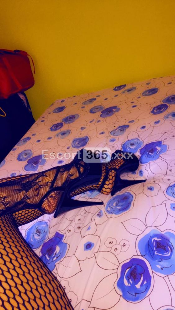 Erika: Ragazza Passionale - Escort a Faenza - Foto 4