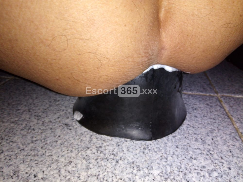Lady Roberta Pornostar: Matura e Eccitante - Pornostar a Siena - Foto 51
